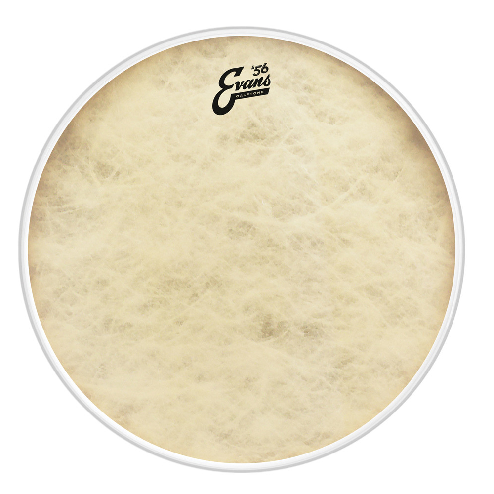 Drum Heads Nottingham Evans Calftone 14' Evans Snare Drum Heads